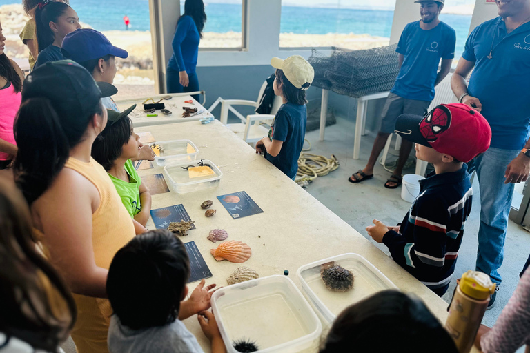 La Paz: Pearl Farm Experience and shop