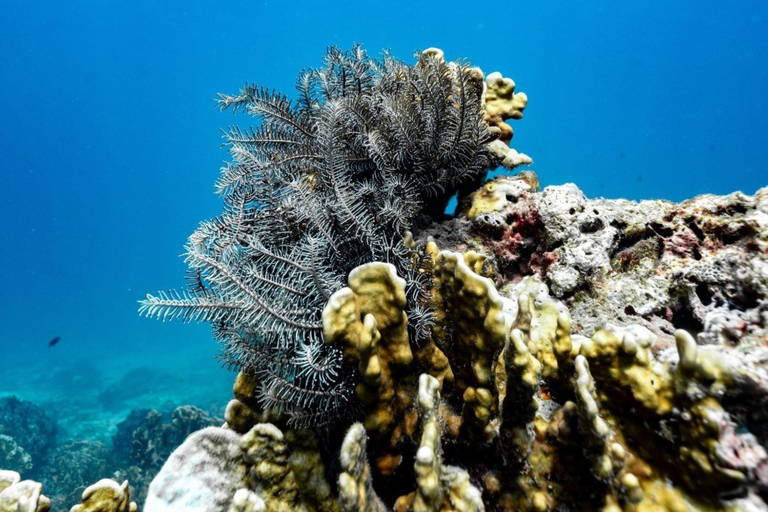 Phuket: Racha en Banana Beach per speedboot met lunch