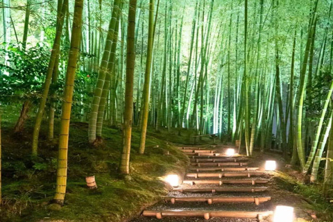 大阪/京都：京都和奈良私人定制一日旅行