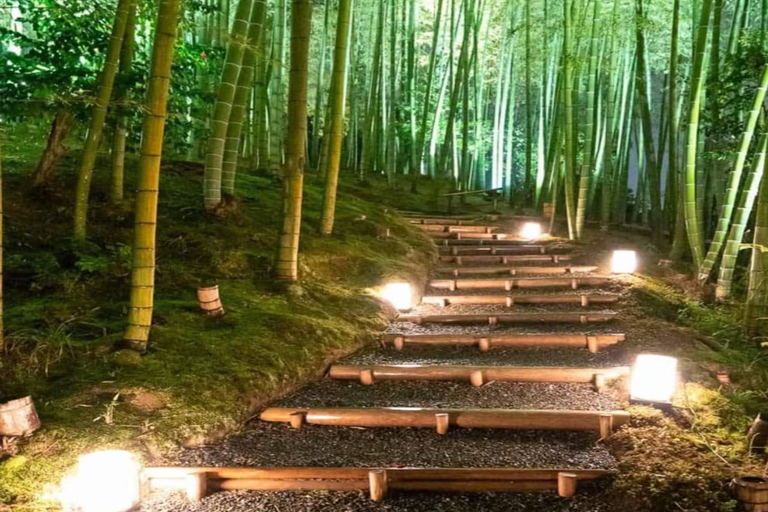 大阪/京都：京都和奈良私人定制一日旅行