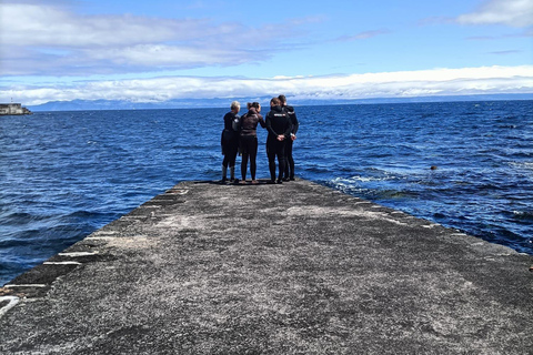 Pico Island: Guided Shore Diving for Certified Divers