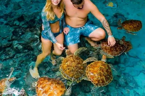 Sansibar: Schwimme mit Schildkröten &amp; transparentem Kajak mit Drohne