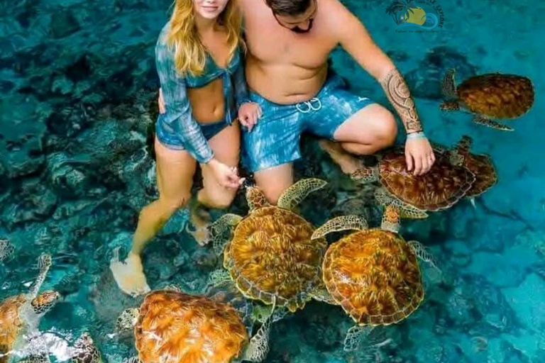 Sansibar: Schwimme mit Schildkröten &amp; transparentem Kajak mit Drohne