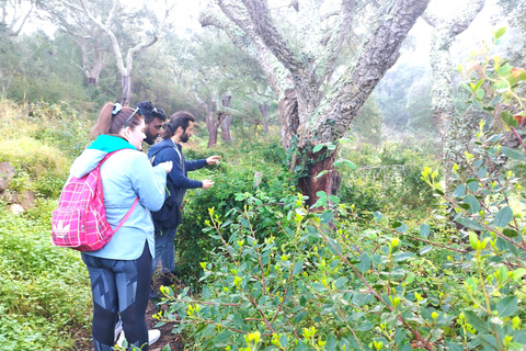 Desde Sesimbra: tour de senderismo por la montaña de Arrábida