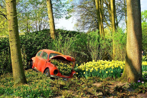 Vanuit Den Haag: Privé Keukenhof &amp; Molens Tour