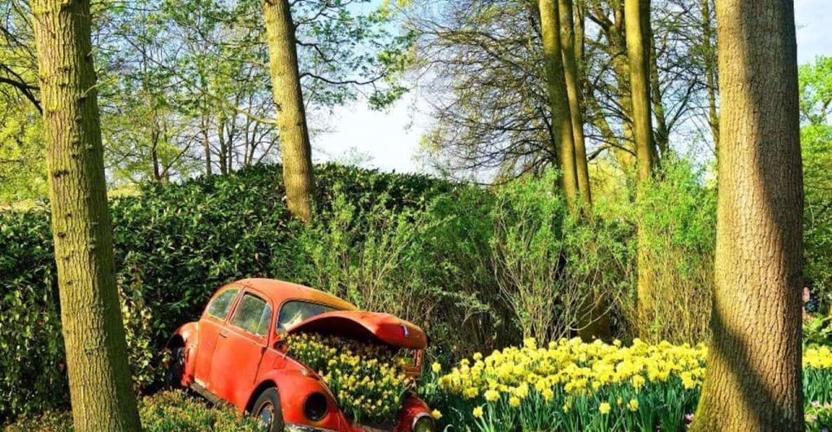 Afbeelding 3 van Rotterdam: Privé Sightseeingtour naar Keukenhof