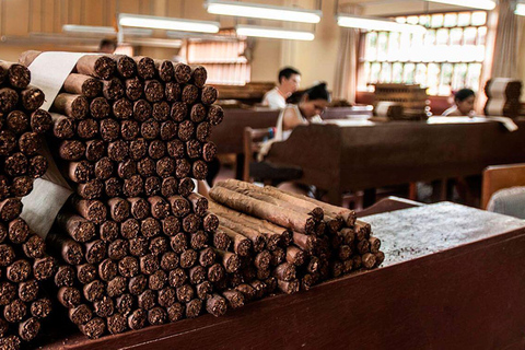 Trésors cachés de Tarapoto - Visite de la ville, du chocolat et des animaux