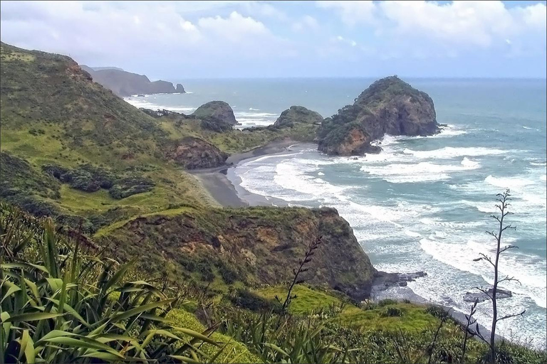 Sheep World & West Auckland Discovery Small Group Day Tour