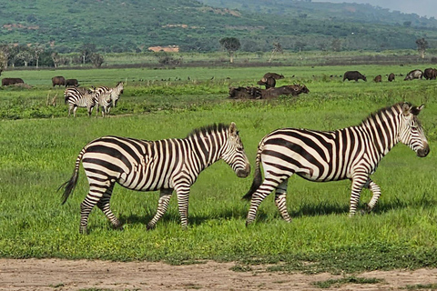 9 Días Descubre Ruanda Burundi en Moto