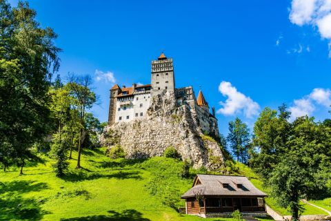From Bucharest: Peles Castle, Dracula (Bran) Castle and Brasov Full Day Tour with Transfer