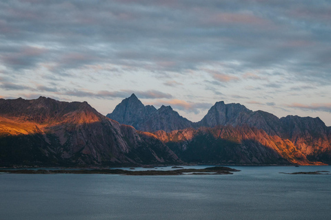 Visite touristique des Lofoten : visite d&#039;une demi-journée