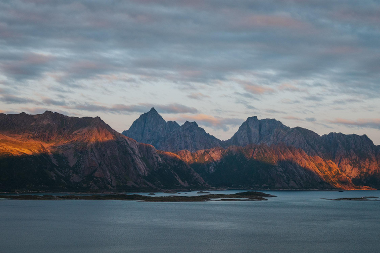 Visite touristique des Lofoten : visite d&#039;une demi-journée