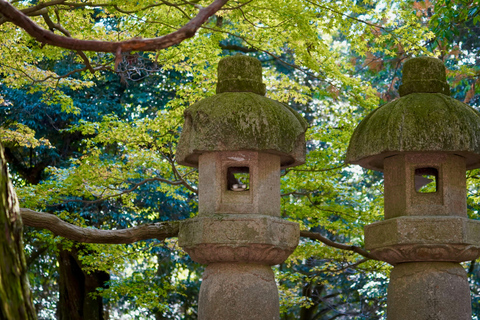 Nara World Heritage: Asuka E-Bike & Megalith Cycling Tour
