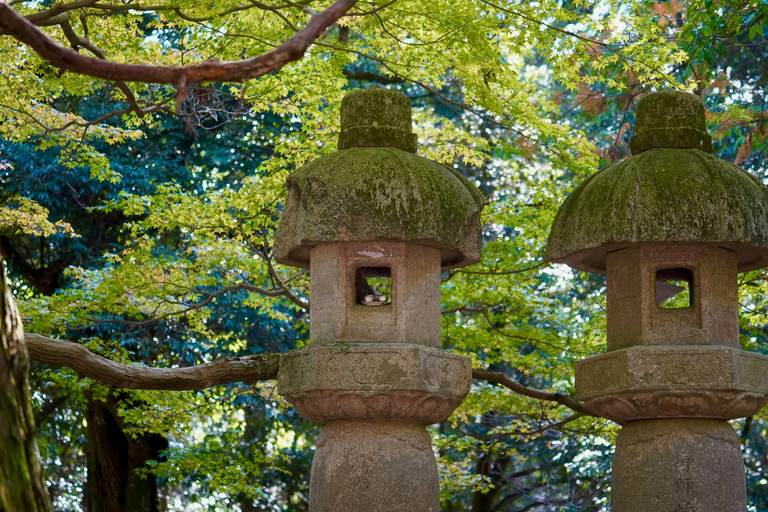 Nara World Heritage: Asuka E-Bike & Megalith Cycling Tour