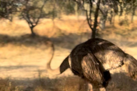 Etiopia: 8-dniowa wycieczka do doliny Omo i jezior Rift Valley