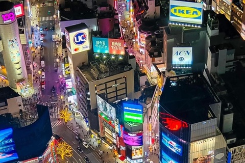 Tokyo Luxury Private City Tour Customizable with Guide