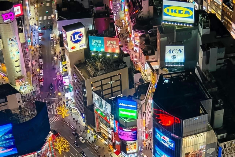Tokyo Luxury Private City Tour Customizable with Guide