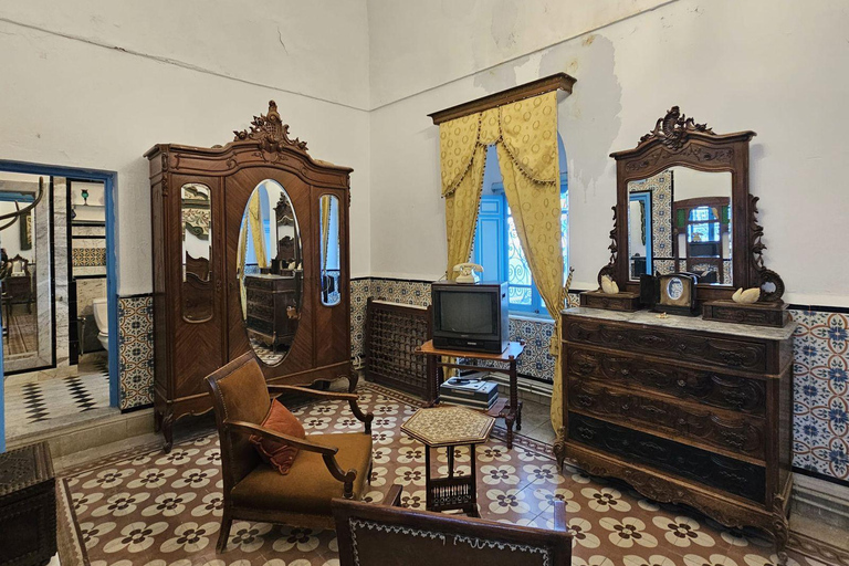 Excursión de un día a Cartago y Sidi Bou Said