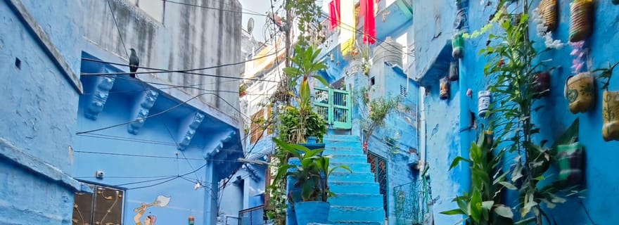 Jodhpur : Visite guidée à pied de la ville bleue