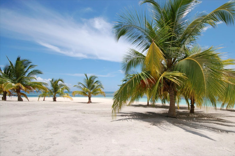 Punta Cana Catamaran to Saona with natural swimming pool