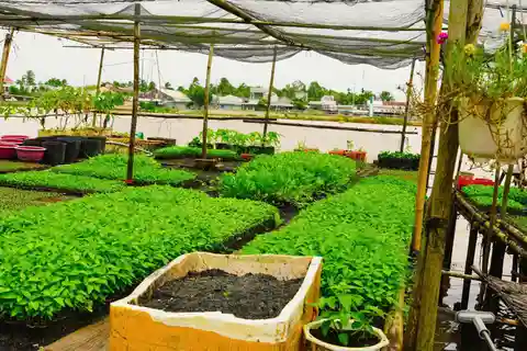 Pedaling the mekong's rural tracks - Can Tho Premium tour
