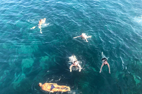 Side: Dolphin Island Boat Trip with Lunch and Swim Stops Dolphin Island Boat Trip with Meeting Point