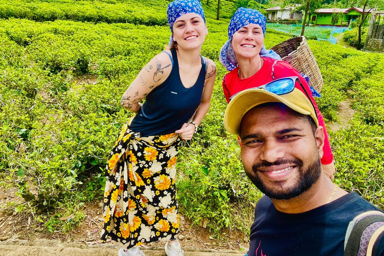 Sri Lanka: 10-dniowa wycieczka z Sigiriya, Kandy i Ella