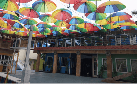 Higuey discovery, coffee and cocoa tasting from punta cana