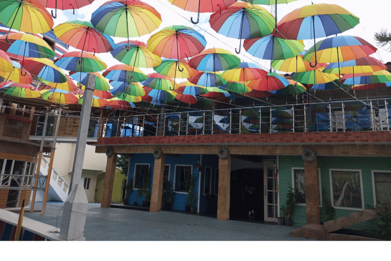 Higuey discovery, coffee and cocoa tasting from punta cana