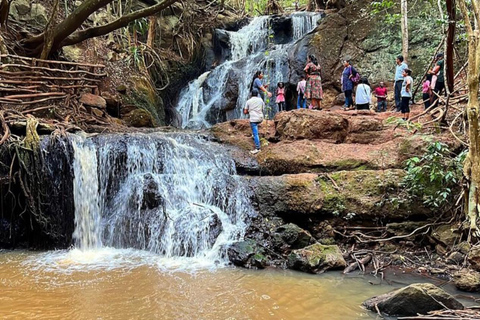 Karura guided walking tour