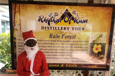 St. Lucia Private Rum Tasting and Tour