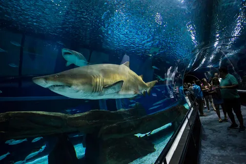 Rio de Janeiro: 6 Nights of Wonder, Flavor & Discovery