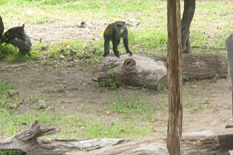 3 DAYS NYERERE NATIONAL PARK FROM ZANZIBAR BY FLIGHT.