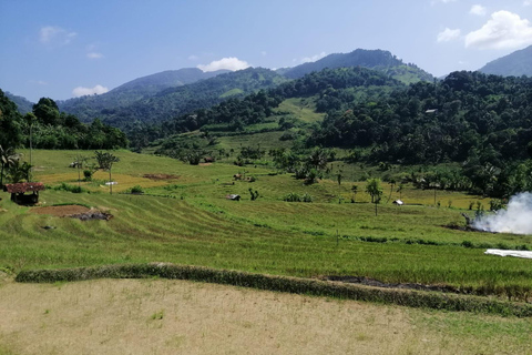 Kandy: Knuckles Mountain Range Full-Day Hike with Lunch