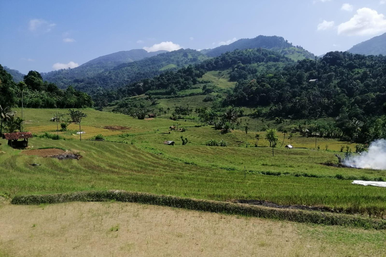 Kandy: Knuckles Mountain Range Full-Day Hike with Lunch