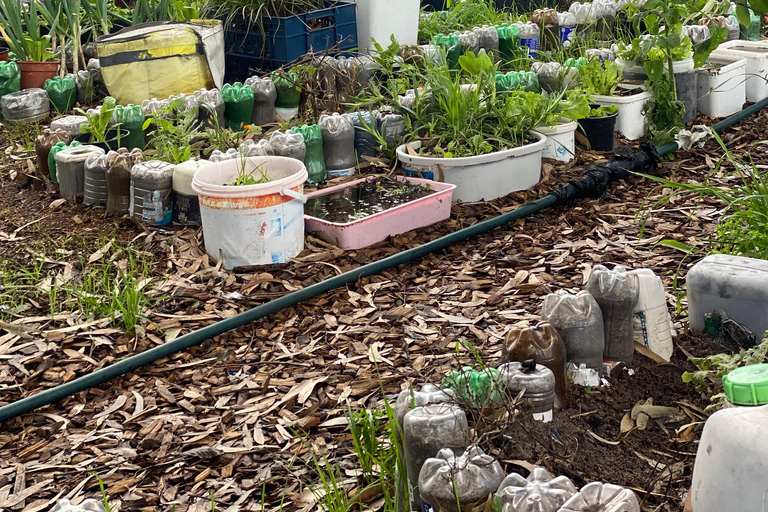 Cape Town: Langa Township Walking Tour langa township walking tour