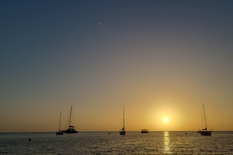 Race the Wind: J/24 Sailing Adventure in Barbados