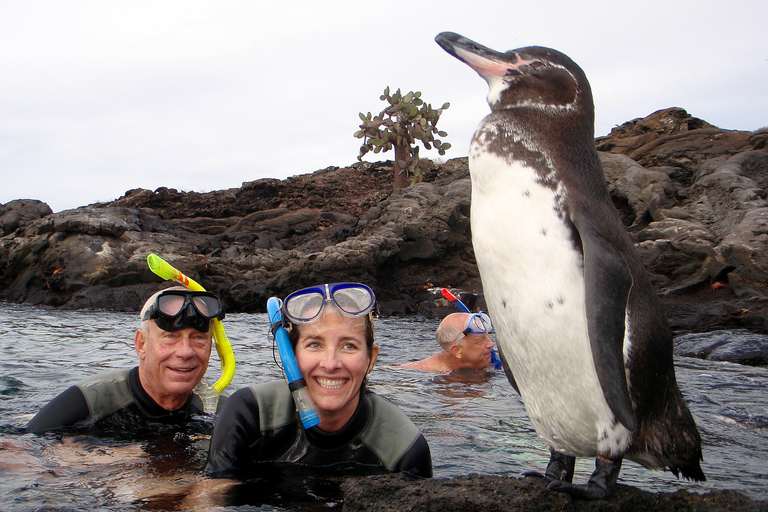 Galapagos Explorer 4-Day Tour: Santa Cruz & Bartholomew