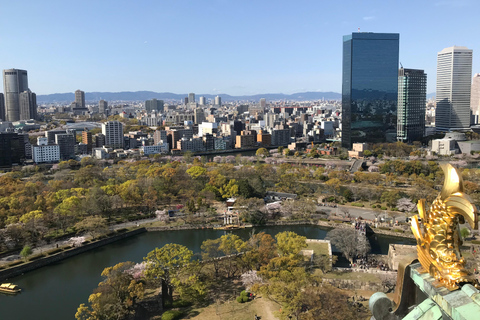 Osaka Classic Private Tour by Subway