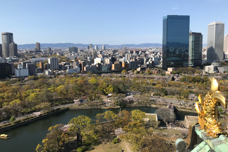 Osaka Classic Private Tour by Subway