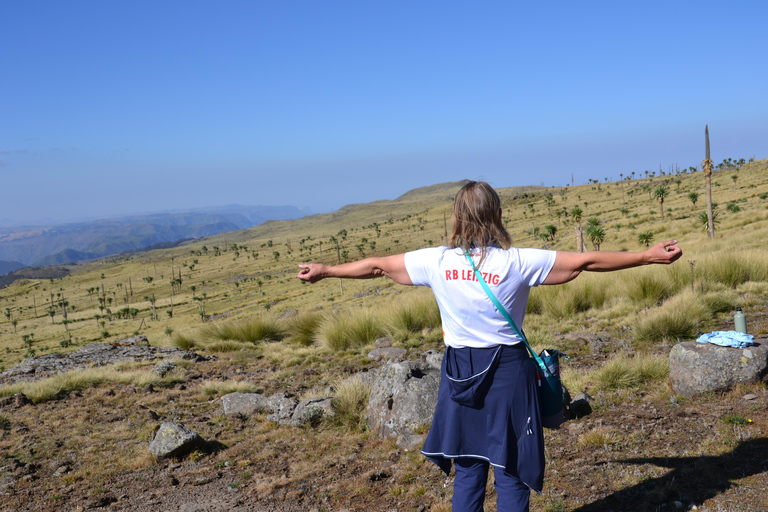 Gondar: Simien Mountains 4-Day Trek with Guide