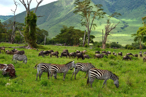 Arusha: Ngorongoro Crater 2-Day Safari with Accommodation