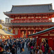Tokyo Full-Day Private Customizable Tour with English Guide