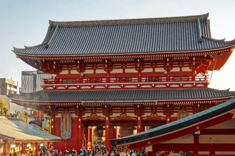 Tokyo Full Day Private Customizable Tour with Guide