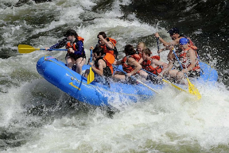 Från Kandy: Kelani River White Water Rafting dagsutflyktFrån Kandy: Kelani River White Water Rafting Dagsutflykt