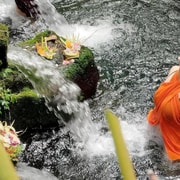 Bali: Mengening Temple Melukat, Rice Terrace & Waterfall