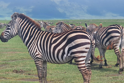 Tanzania: 4-Day Luxury Safari Tour with Accommodation