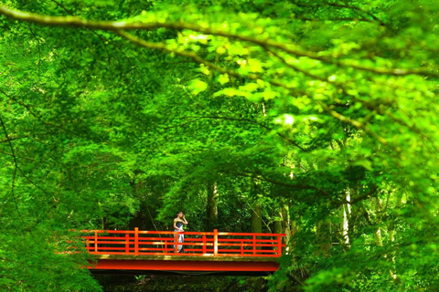 A Thousand Years in One Day: Kyoto & Nara Panoramic Tour Osaka Station
