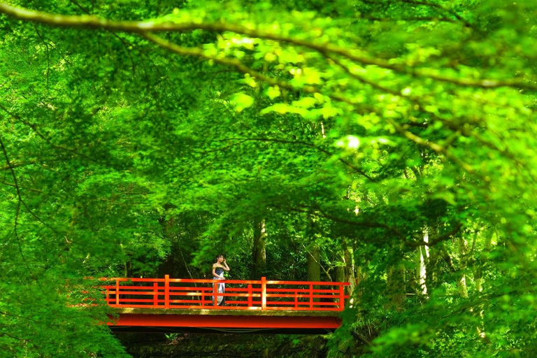 A Thousand Years in One Day: Kyoto & Nara Panoramic Tour Osaka Station