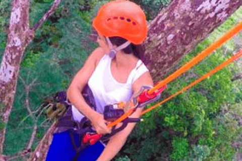 Manaus: Avventura arrampicata sugli alberi